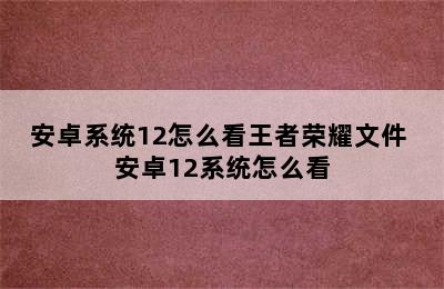 安卓系统12怎么看王者荣耀文件 安卓12系统怎么看